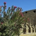temple_karnak_lux_h_0559_egy3532.jpg